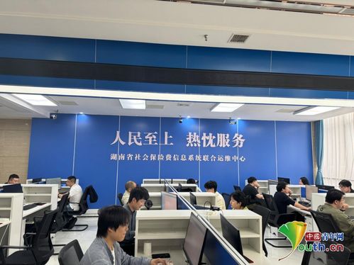 社保聯(lián)合運維中心 數(shù)據(jù)不擁堵，群眾少跑腿，貿易咨詢更便捷